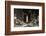 Philadelphia City-Philippe Hugonnard-Framed Photographic Print