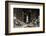 Philadelphia City-Philippe Hugonnard-Framed Photographic Print