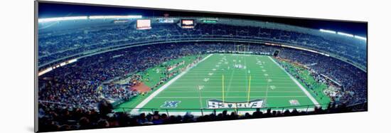 Philadelphia Eagles Football, Veterans Stadium Philadelphia, PA-null-Mounted Photographic Print