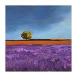 Field of Lavender-Philip Bloom-Art Print