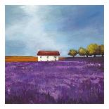 Field of Lavender-Philip Bloom-Art Print