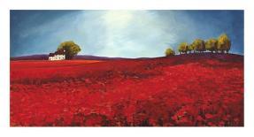 Field of poppies-Philip Bloom-Stretched Canvas