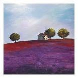 Late Afternoon-Philip Bloom-Framed Art Print