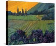 Hillside - Tuscany-Philip Craig-Stretched Canvas