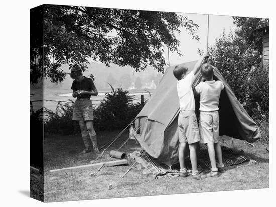 Stretched Canvas Print, , large