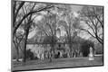 Photographic Print