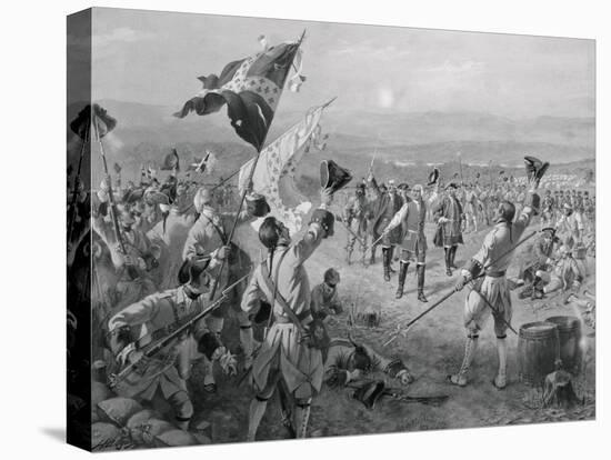 Stretched Canvas Print, , large