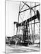 Premium Photographic Print