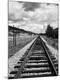 Photographic Print
