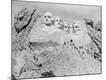 Photographic Print