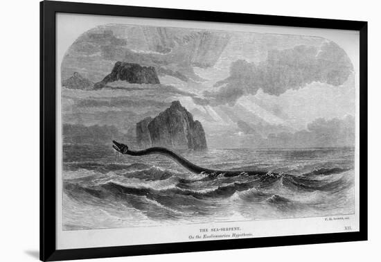 Art Print, , large