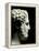 Philip II of Macedon 382-336 BC, Father of Alexander the Great-null-Framed Premier Image Canvas