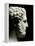 Philip II of Macedon 382-336 BC, Father of Alexander the Great-null-Framed Premier Image Canvas