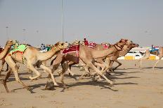 Racing Camels with a Robot Jockeys, Dubai, United Arab Emirates-Philip Lange-Framed Photographic Print