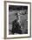 Philip Roth-Carl Mydans-Framed Premium Photographic Print