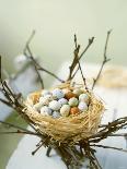 Sweet Easter Eggs in a Nest-Philip Webb-Photographic Print