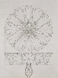 Study for a Cornflower, 1808-Philipp Otto Runge-Giclee Print