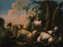 Repose of Herd-Philipp Peter Roos-Giclee Print