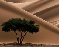 Namibie-Philippe Bourseiller-Framed Art Print