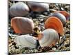 Premium Photographic Print