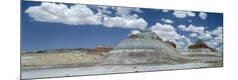 Premium Photographic Print