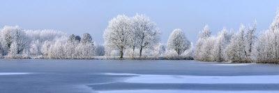 Trees Covered in Hoarfrost Beside Frozen Lake in Winter, Belgium-Philippe Clement-Photographic Print