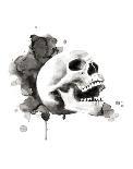 Skull IV-Philippe Debongnie-Art Print
