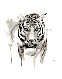 Tiger-Philippe Debongnie-Art Print