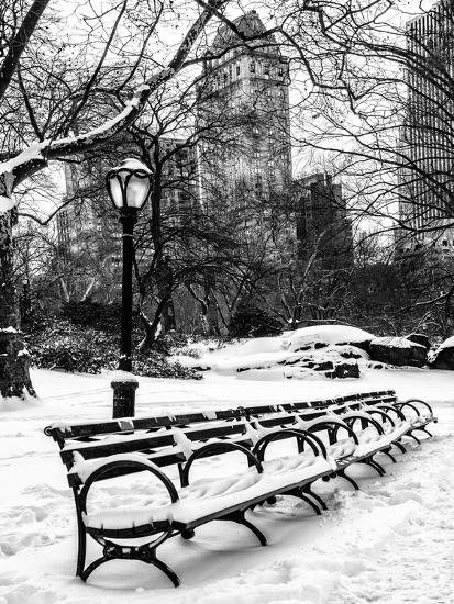 Premium Photographic Print, , large