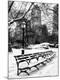 Premium Photographic Print