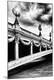 Premium Photographic Print