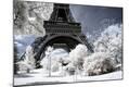 Photographic Print