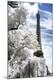 Premium Photographic Print