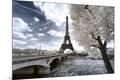 Premium Photographic Print