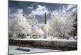 Photographic Print