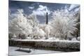 Premium Photographic Print
