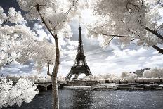Eiffel Tower - Le Carrousel - Paris - France-Philippe Hugonnard-Photographic Print