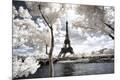 Photographic Print