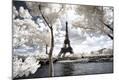 Premium Photographic Print