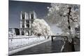 Premium Photographic Print