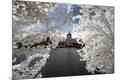 Premium Photographic Print