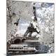 Premium Photographic Print