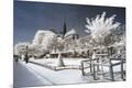 Premium Photographic Print