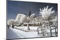 Premium Photographic Print