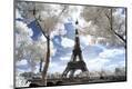Premium Photographic Print