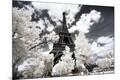 Premium Photographic Print