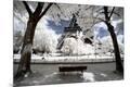 Premium Photographic Print