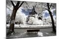 Photographic Print