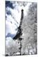 Premium Photographic Print