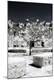 Premium Photographic Print